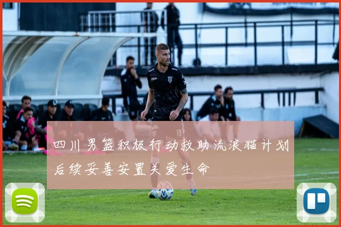 四川男篮积极行动救助流浪猫计划后续妥善安置关爱生命