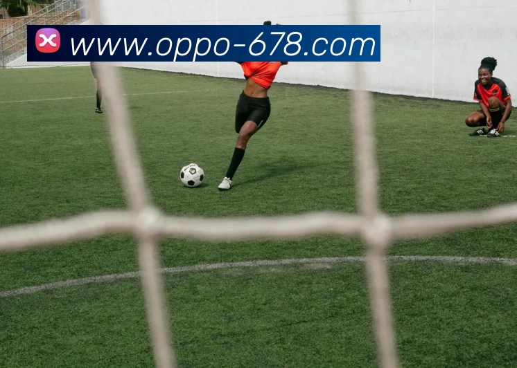 678体育APP 封面图